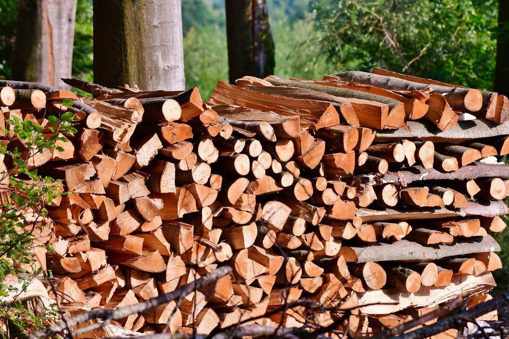 Brennholz